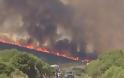 Καταστροφή – 15.000 στρέμματα δάσους έχουν καεί στα Κύθηρα! - Φωτογραφία 3