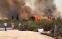 Εκτός ελέγχου πυρκαγιά στην Πρέβεζα που απειλεί οικισμό -Κάηκαν εργοστάσιο και θερμοκήπια