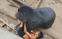 ΚΡΑΥΓΕΣ ΤΡΟΜΟΥ-Τουρίστας κοροϊδεύει αρκούδα.Η επίθεσή της ήταν βίαιη.(εικονες-βίντεο)