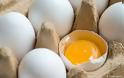 Τι είναι το fipronil που βρέθηκε στα αυγά και πόσο επικίνδυνο είναι για τον άνθρωπο; Είναι καρκινογόνο; - Φωτογραφία 1
