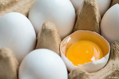 Τι είναι το fipronil που βρέθηκε στα αυγά και πόσο επικίνδυνο είναι για τον άνθρωπο; Είναι καρκινογόνο;