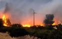 Νύχτα του Αγίου Βαρθολομαίο στον ΚΑΛΑΜΟ-Η πύρινη κόλαση έχει κάψει 20 περίπου σπίτια!!