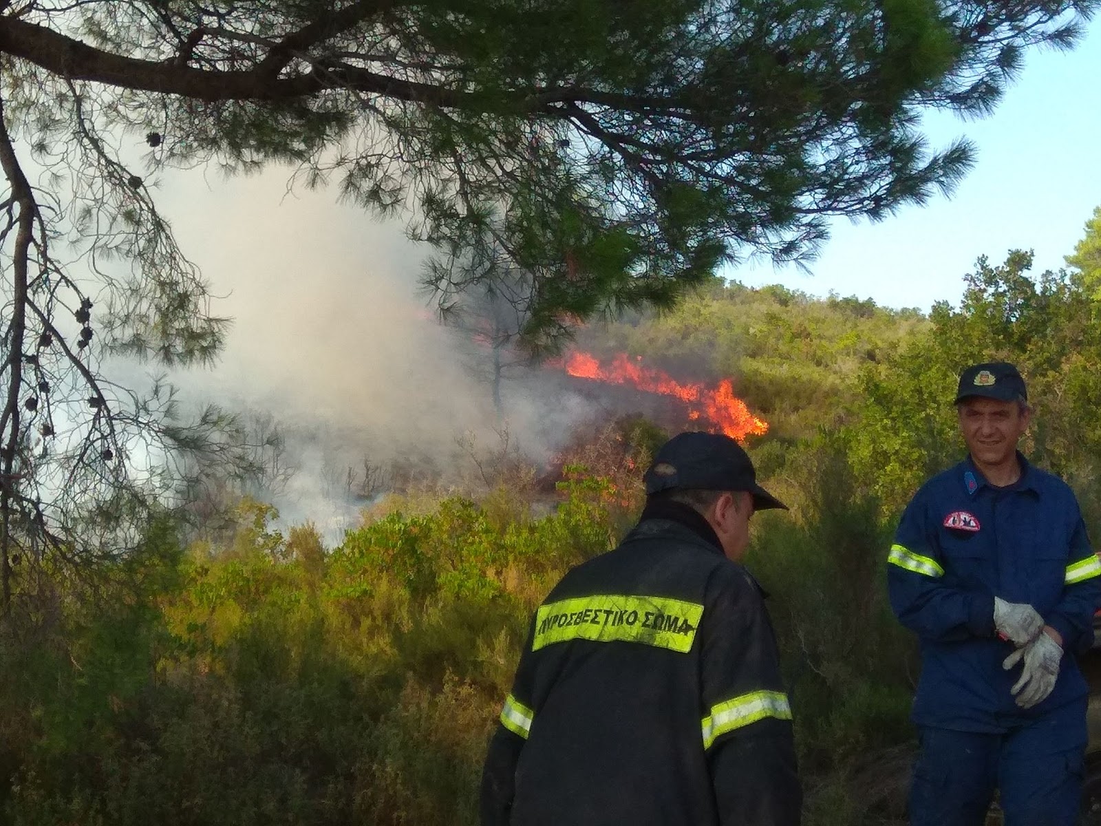 ΠΥΡΑΣΦΑΛΕΙΑ ΑΠΟ ΤΟΥΣ ΕΦΕΔΡΟΥΣ ΤΟΥ Α.Σ.Ε.Ε.Δ. - Φωτογραφία 31