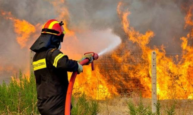 Οργανωμένες εμπρηστικές επιχειρήσεις… - Φωτογραφία 6