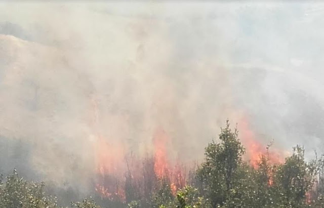 ΣΥΜΜΕΤΟΧΗ ΤΗΣ ΛΕΦΕΔ ΣΕ ΚΑΤΑΣΒΕΣΗ ΠΥΡΚΑΓΙΑΣ ΣΤΟ ΜΕΣΑΙΟ ΘΕΣΣΑΛΟΝΙΚΗΣ - Φωτογραφία 3