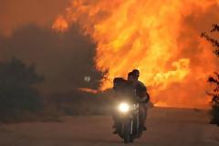 Οι ήρωες που έσωσαν 35 εγκλωβισμένα σκυλιά στο Καπανδρίτι