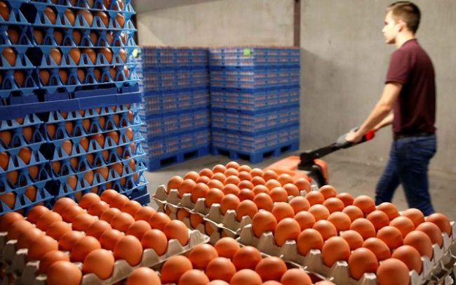 Δεν είναι μολυσμένα μόνο τα αυγά. Είναι ανθυγιεινή όλη η τροφική αλυσίδα των πολυεθνικών εταιρειών - Φωτογραφία 1