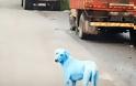 Φρίκη!..Η μόλυνση στην Ινδία κάνει τα σκυλιά ..μπλε!! (ΕΙΚΌΝΕΣ) - Φωτογραφία 2