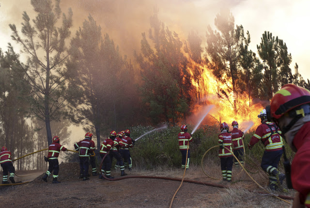 Φλέγεται η Πορτογαλία.... Περισσότερες από 184 πυρκαγιές -91 συλλήψεις για εμπρησμό - Φωτογραφία 2