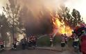Φλέγεται η Πορτογαλία.... Περισσότερες από 184 πυρκαγιές -91 συλλήψεις για εμπρησμό - Φωτογραφία 2