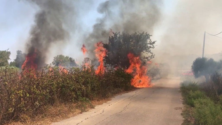 Συνελήφθη Τούρκος που επιχειρούσε να βάλει φωτιά κοντά στην Εγνατία Οδό - Φωτογραφία 1