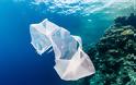 Η πλαστική σακούλα στα πιο θανατηφόρα απορρίμματα για τη θαλάσσια ζωή