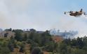 Σε εξέλιξη μεγάλη πυρκαγιά στη Ζάκυνθο – Εκκενώνεται το χωριό Αναφωνήτρια