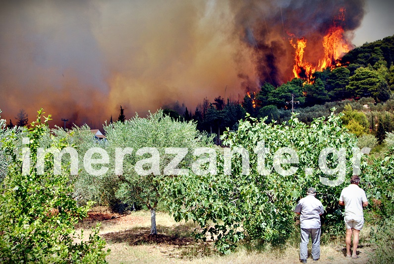 ΠΥΡΗΝΗ ΚΟΛΑΣΗ στην Ζάκυνθο!!Κάηκε σπίτι, πρόλαβαν και το εγκατέλειψαν οι ένοικοι! - Φωτογραφία 4