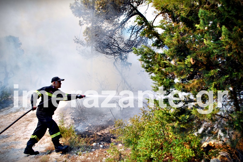 ΠΥΡΗΝΗ ΚΟΛΑΣΗ στην Ζάκυνθο!!Κάηκε σπίτι, πρόλαβαν και το εγκατέλειψαν οι ένοικοι! - Φωτογραφία 5