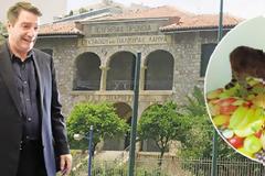 Γηροκομείο Αθηνών: Μια γάτα τρώει απο το πιάτο ηλικιωμένης ενώ άλλη δεμένη βλέπει τηλεόραση(εικόνες σοκ)