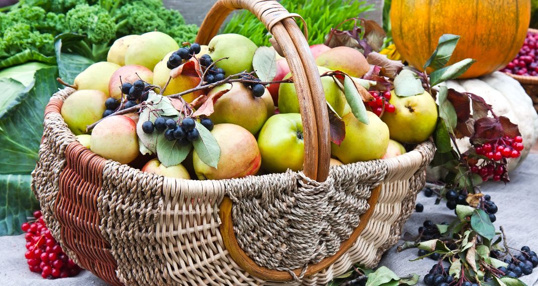 5 φθινοπωρινές τροφές που βοηθούν το μεταβολισμό και ενισχύουν την απώλεια βάρους - Φωτογραφία 1