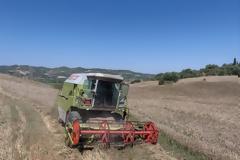 Τα επαγγέλματα που χτίζουν το μέλλον και ποια μένουν στο παρελθόν