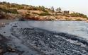 Μεγάλη οικολογική καταστροφή στη Σαλαμίνα – «Μαύρισαν» παραλίες