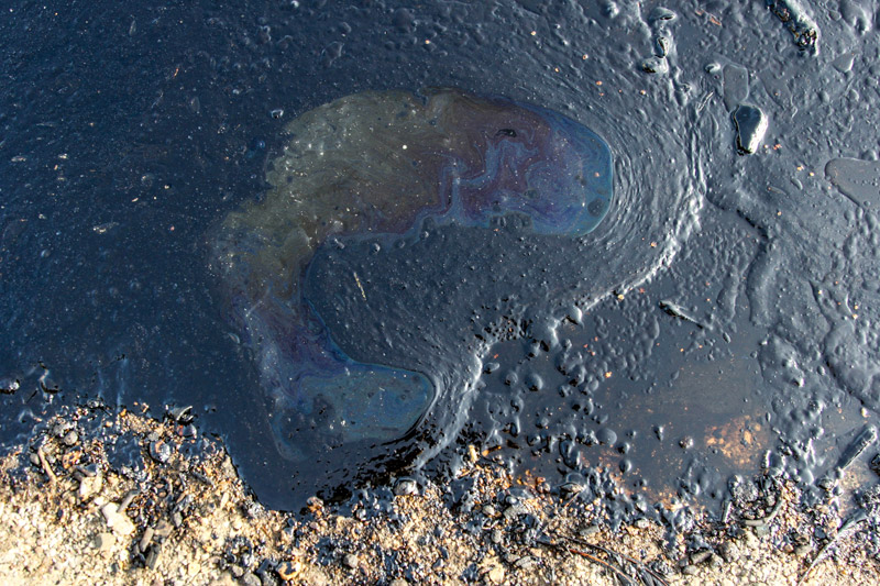 Η πετρελαιοκηλίδα έφτασε μέχρι και τη Βούλα.Έως 10 χρόνια χρειάζονται για να καθαρίσει ο Σαρωνικός - Φωτογραφία 8