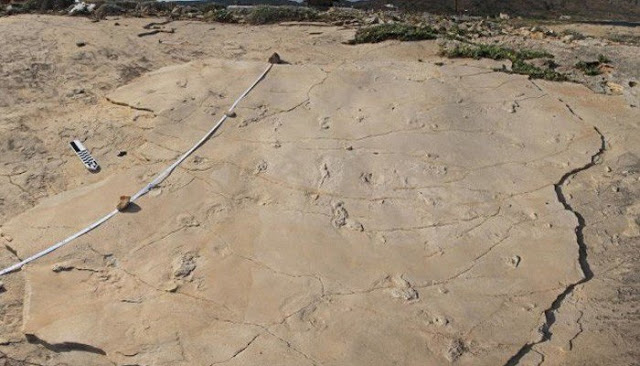 Χανιά - Έκλεψαν αποτυπώματα από τα ίχνη των εκατομμυρίων χρόνων στην Κίσσαμο - Φωτογραφία 2