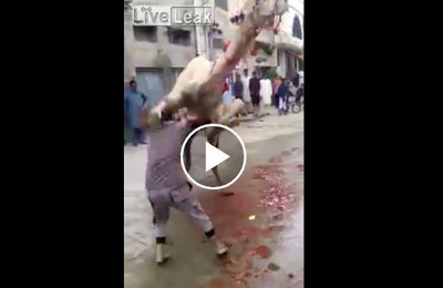 Η ΕΚΔΙΚΗΣΗ ΤΗΣ ΚΑΜΗΛΑΣ:Με μια κλωτσιά σκότωσε τον σφαγέα της(Video) - Φωτογραφία 1