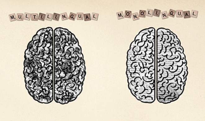 Τι πραγματικά συμβαίνει στον εγκέφαλο των δίγλωσσων ανθρώπων; - Φωτογραφία 1