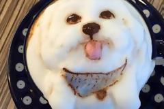 Αυτή η καφετέρια κάνει το κατοικίδιο σου... Cappuccino!