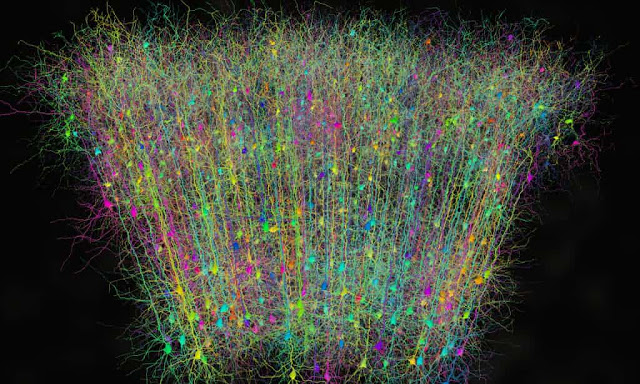 Ευρωπαίοι και Αμερικανοί νευροεπιστήμονες συμμάχησαν για να δημιουργήσουν το CERN του εγκεφάλου - Φωτογραφία 2