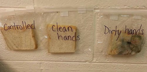 Το πείραμα μιας δασκάλας που αποδεικνύει πόσο επικίνδυνο είναι να τρως με βρώμικα χέρια - Φωτογραφία 2