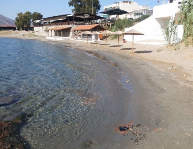 Μαύρισε και η παραλία της Παλαιάς Φώκαιας [photos] - Φωτογραφία 4