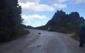 Τραγωδία: δύο νεαροί Aιτωλοακαρνάνες σμηνίτες νεκροί στο τροχαίο κοντά στα Παλιάμπελα [photos] - Φωτογραφία 6