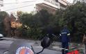 Θεσσαλονίκη: Ηλικιωμένη έκαψε το εξωτερικό του σπιτιού της [photos] - Φωτογραφία 4