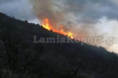 Πυρκαγιά σήμανε συναγερμό στη Φθιώτιδα [photo+video]