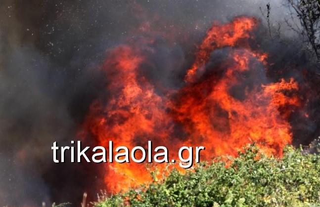 Κόλαση φωτιάς στο Μεγάλο Κεφαλόβρυσο Τρικάλων - Φωτογραφία 1