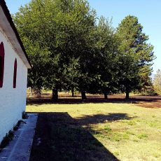 Το θαύμα του Αϊ Νικόλα στα Τρίκαλα. Οι φλόγες σταμάτησαν έξω απ’ το Ναό… [photos] - Φωτογραφία 3