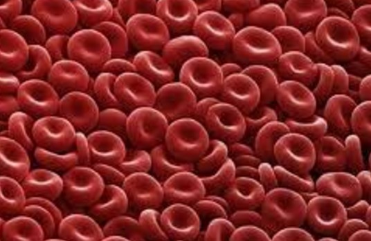 Ερυθρά αιμοσφαίρια: Πώς θα τα αυξήσουμε; - Φωτογραφία 1