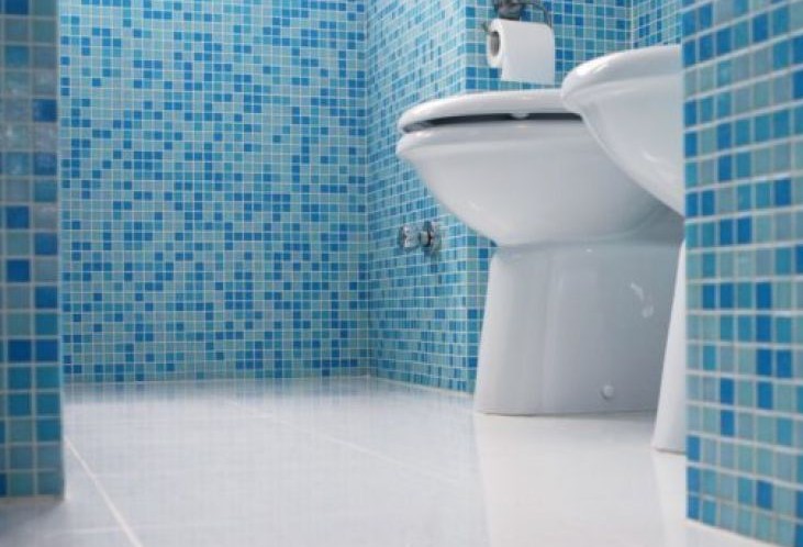 Φτιάξτε ταμπλέτες για να απολυμαίνετε την τουαλέτα σας! - Φωτογραφία 1