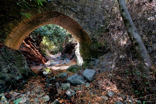Που βρίσκεται στην Κύπρο το «δεντρόσπιτο του Χάνσελ και της Γκρέτελ» - Φωτογραφία 6