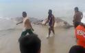 Μυστηριώδες θαλάσσιο τέρας ξεβράστηκε σε νησί των Φιλιππίνων [photos+video] - Φωτογραφία 4