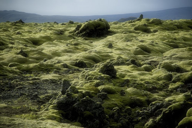 Τα εντυπωσιακά λιβάδια βρύων της Ισλανδίας - Φωτογραφία 4