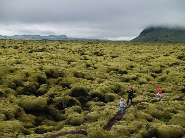 Τα εντυπωσιακά λιβάδια βρύων της Ισλανδίας - Φωτογραφία 8
