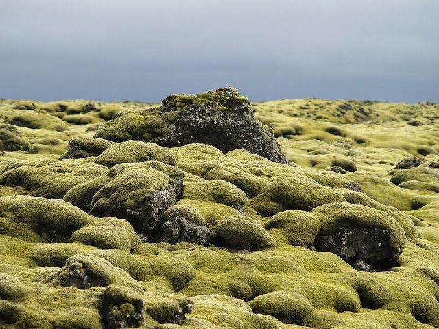Τα εντυπωσιακά λιβάδια βρύων της Ισλανδίας - Φωτογραφία 9
