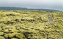 Τα εντυπωσιακά λιβάδια βρύων της Ισλανδίας