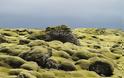 Τα εντυπωσιακά λιβάδια βρύων της Ισλανδίας - Φωτογραφία 9