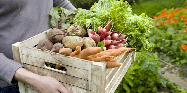 Τα 10 φρούτα και λαχανικά που είναι γεμάτα φυτοφάρμακα - Φωτογραφία 1
