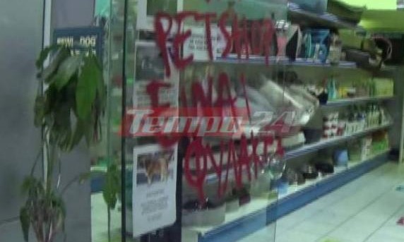 Πάτρα: Στόχος αντιεξουσιαστών pet shop - Απέκλεισαν την είσοδο - Άναψαν τα αίματα με τους υπαλλήλους [photos+video] - Φωτογραφία 1