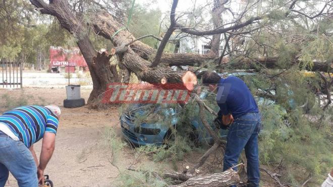 Σοκ για Πατρινή στην Πλαζ - Έλιωσε το αυτοκίνητό της ένα τεράστιο δέντρο δευτερόλεπτα αφού είχε απομακρυνθεί - Φωτογραφία 3