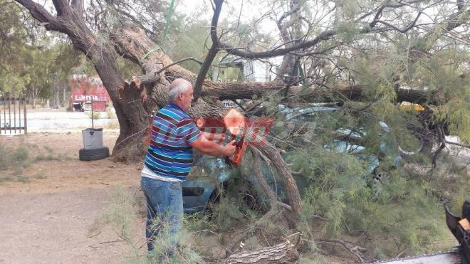 Σοκ για Πατρινή στην Πλαζ - Έλιωσε το αυτοκίνητό της ένα τεράστιο δέντρο δευτερόλεπτα αφού είχε απομακρυνθεί - Φωτογραφία 5