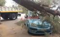 Σοκ για Πατρινή στην Πλαζ - Έλιωσε το αυτοκίνητό της ένα τεράστιο δέντρο δευτερόλεπτα αφού είχε απομακρυνθεί - Φωτογραφία 2